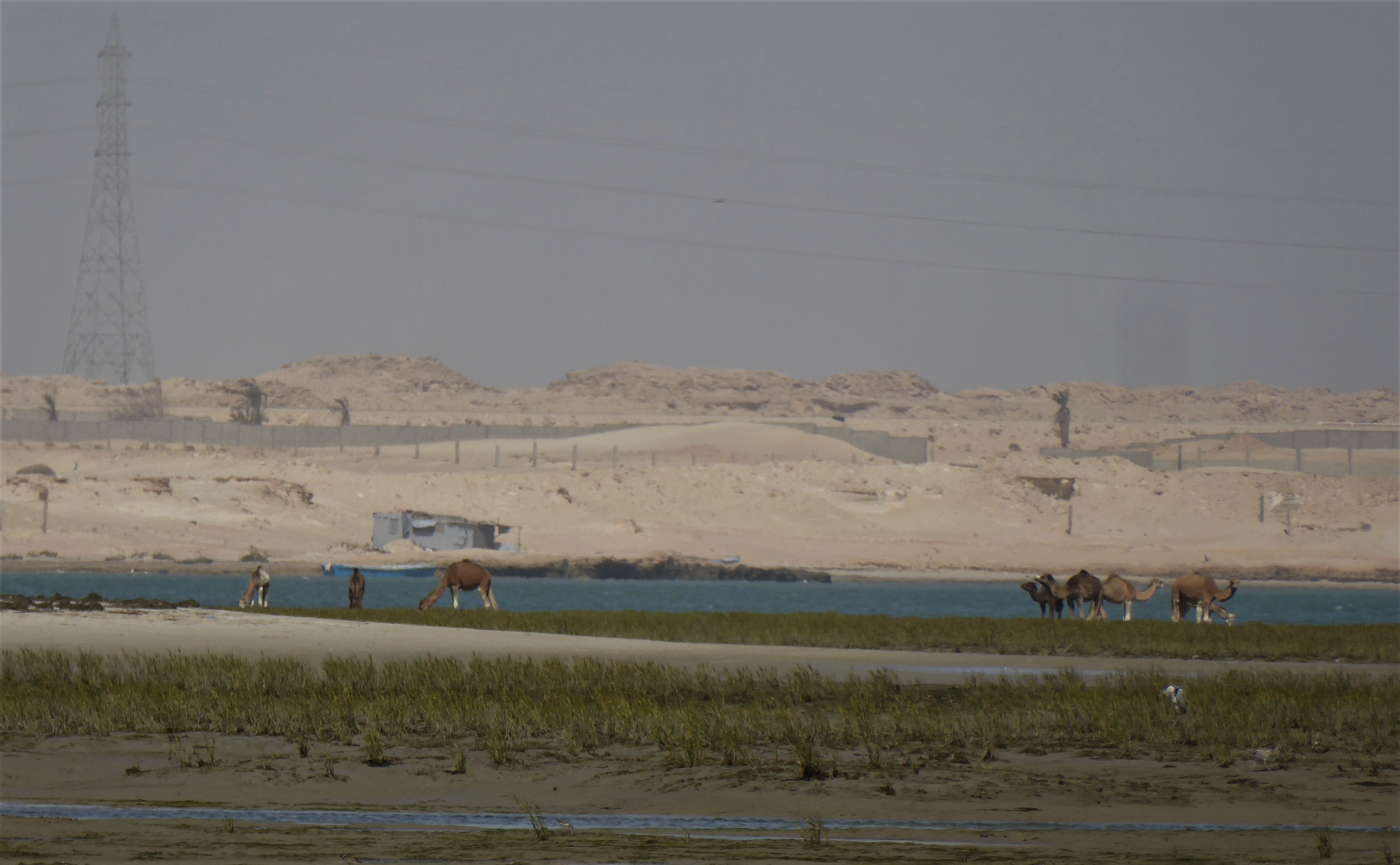 2021 NOUADHIBU désert 2021 NOUADHIBU désert