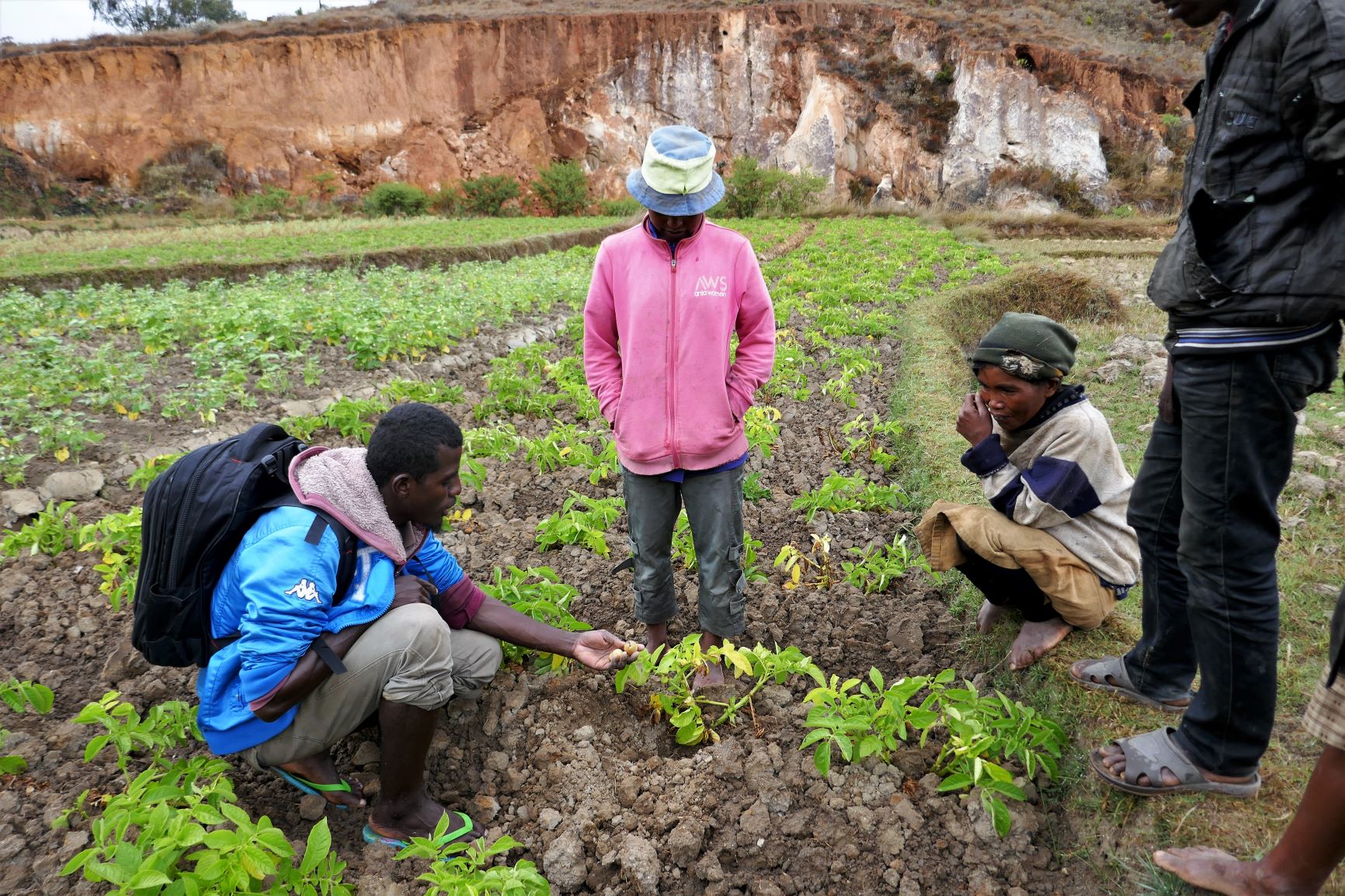 N19-6_Agroco_Conseiller AgricoleAlatsianainy Bakaroe (1)